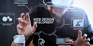 Web Design & Development